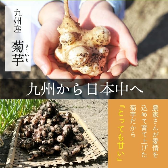 Japanese Jerusalem Artichoke Mulberry Tea (2g X 100 Bags) Diet Inulin Dietary Fiber Moranolin Mulberry Mulberry Leaf Tea Jerusalem Artichoke Tea