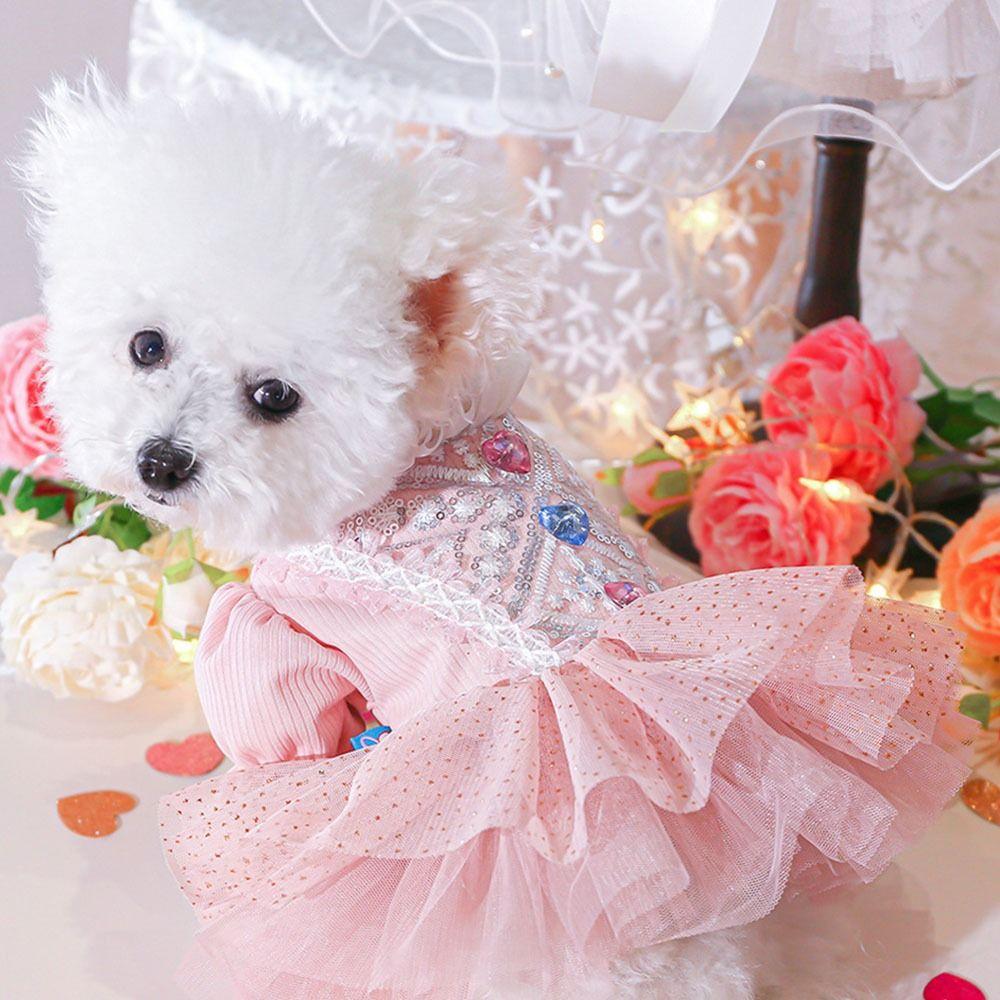 Pretty Dog Lace Skirt Soft Summer Dog Clothes Unique Cat Princess Dresses  Pet Supplies