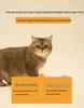 Boca Cat Deodorizing Tofu Litter, White Tea Scent, Dust-Free & Clumping, Indoor Use Only, 15kg.
