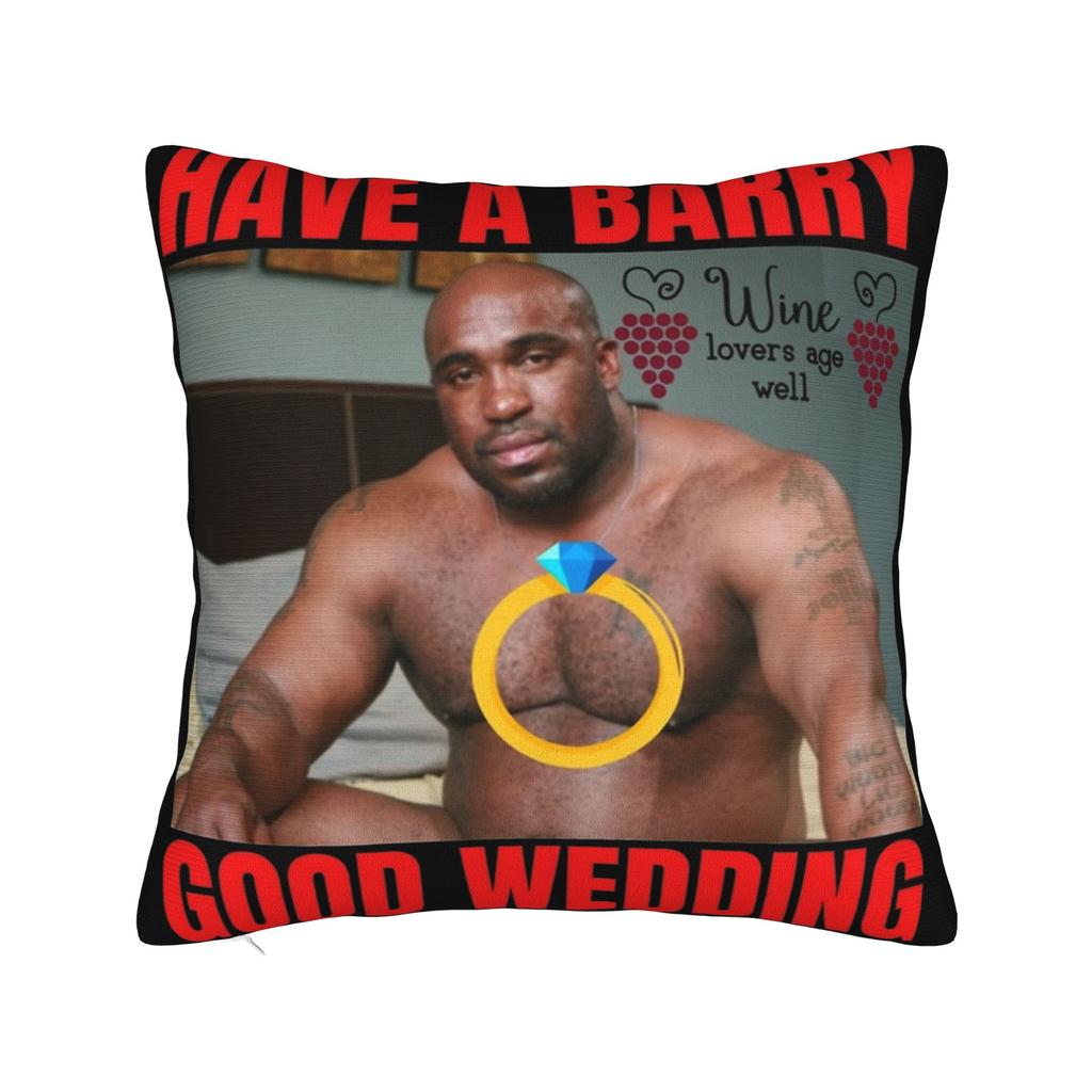 Decorative Pillow Cover Funny Barry Wood Meme Christmas Accessories Car Pillow Case Cover Zippered Multiple Sizes