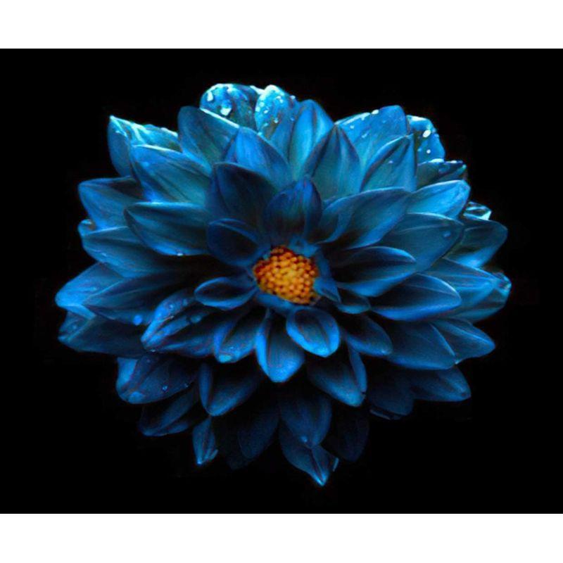 DIY Diamond Painting Flower Diamond Art Diamond Embroidery Full Round Drill Home Decor Gift