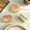 1pc Ocean Series Shell Starfish Acetate Hair Clip Conch Pearl Shark Clip Advanced Fashion Hairpin Tail Hair Accessories