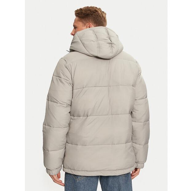 Demi-season Jacket Dickies Waldenburg Hooded DK0A4YEYD06 Grey Regular Fit