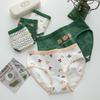 Japanische Niedliche Cartoon Grüner Bär Damen Unterwäsche aus Reiner Baumwolle - Mittelhoch geschnitten für Damen und Mädchen