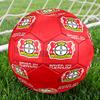 Bayer 04 Leverkusen Football Club Indoor Size 5 Soccer Ball Colorful Machine Stitched PVC Competition Ready Durable High-Bounce