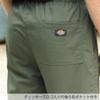 Dickies Straight Pants