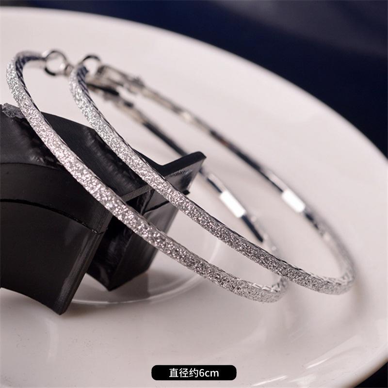 Fashion exaggerated niche temperament fringed earrings retro personality versatile sequined earrings women's long ear jewelry