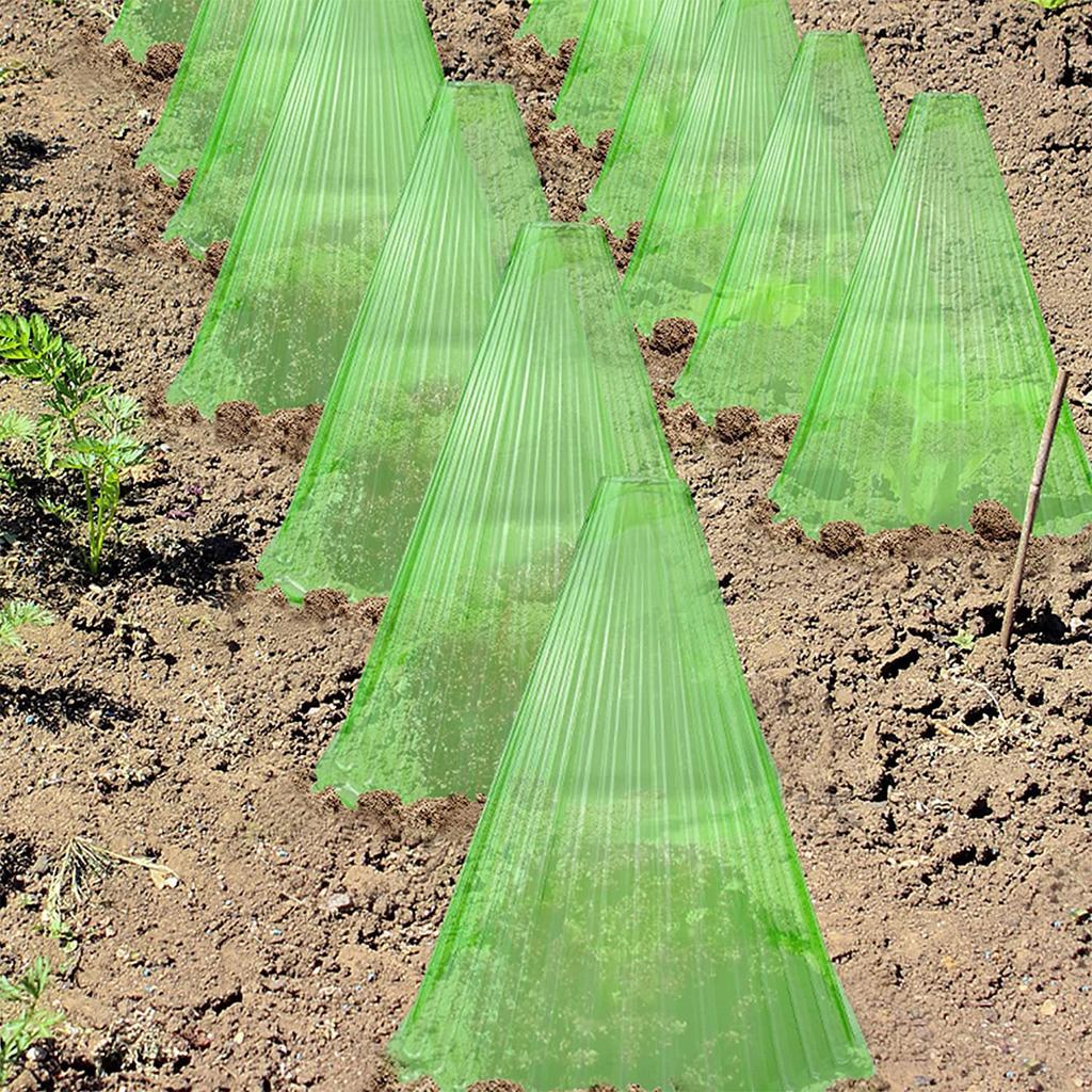 Transparent, solskydd, 10-pack, växtskydd, växthjälpmedel, tillväxthjälpmedel, växtkåpor