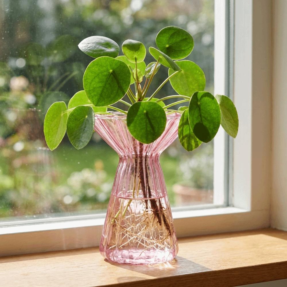 Colored Hydroponic Vase Vertical Striped Flower Pot Terrarium Decorative Vase Office