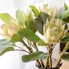 1Pc King Protea Artificial Flower Fake Plant DIY Wedding Bouquet Party Decor