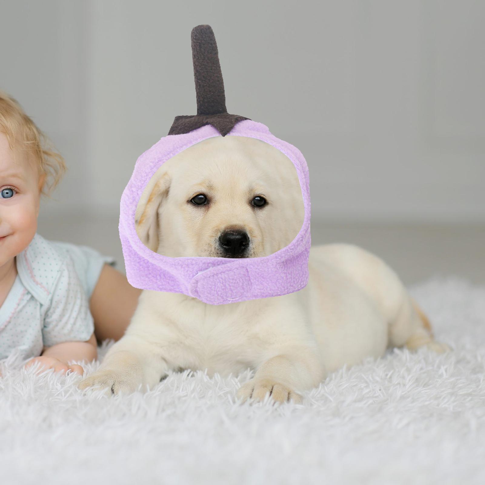 

Hat For Cat Headgear Outfit Costume Eggplant Design Dog Birthday Hats For Daily Walking Puppy Pet Halloween Birthday Christmas CN