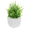 Realistic Fake Potted Plant Indoor Decoration Small Artificial Bonsai Plant Desk Office Faux Greenery Plastic Plants for Home