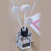 Aromatherapys Diffuser Sticks Reed FragranceDiffuser Replacement Refill Stick Air Fresheners Room Home Office Decoration