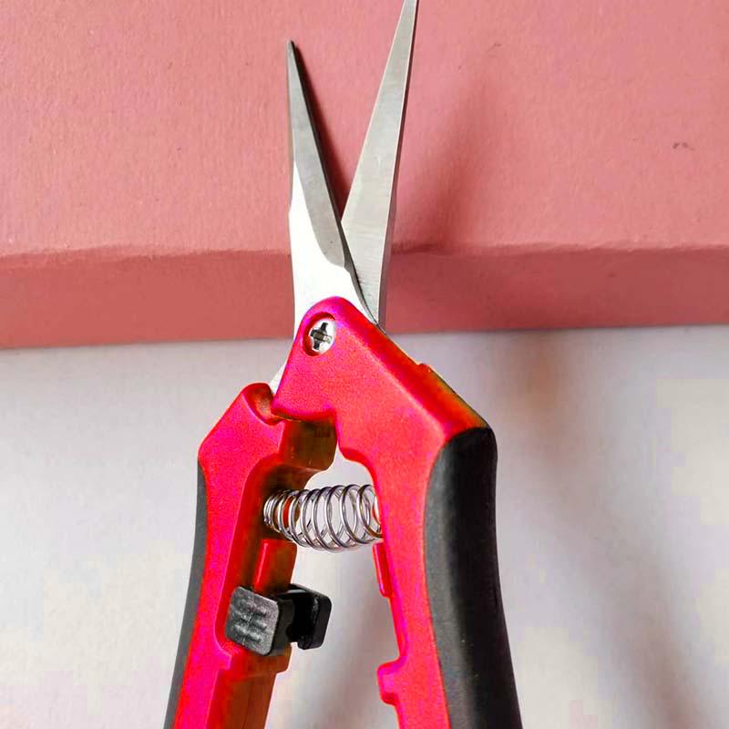 Edelstahl-Baumzweig-Beschneiden, Obstgartenarbeit, Obstbaum-Beschneiden, Blumenzweig-Gartengeräte, Blumengartenarbeit-Schere