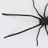 1/2Pcs Magnetic 3D Spider Decoration Scary Realistic Giant Spider Halloween Prank Props Garage Door Mailbox Locker Refrigerator Magnet Fake Spider