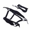 Horse Halter Set Prevent Rubbing Adjustable Horse Training Halter with 2m Horse Leash for Training Daily
