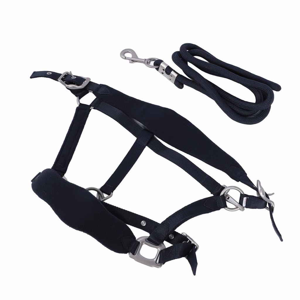 Horse Halter Set Prevent Rubbing Adjustable Horse Training Halter with 2m Horse Leash for Training Daily
