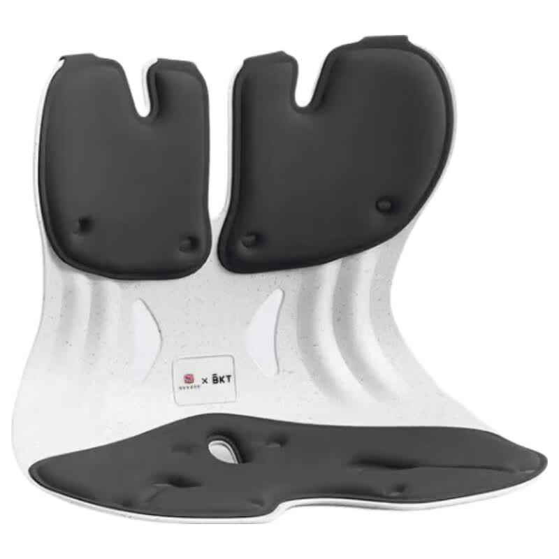 BKT Ergonomic Lumbar Support Posture Chair CN plug (adapter included)