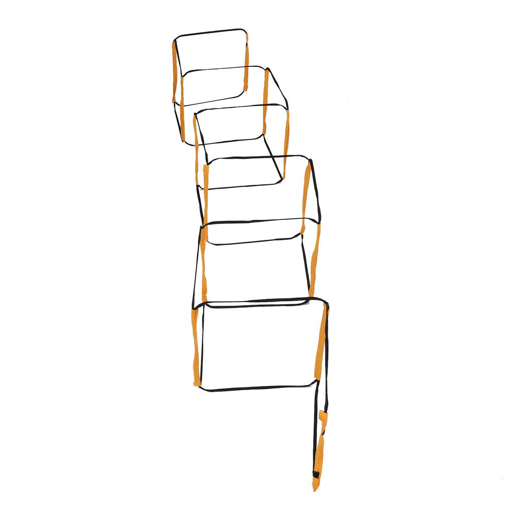 12 Rung Fixed Agility Ladder Speed Training Ladder With Storage Bag For Basketball Soccer Football