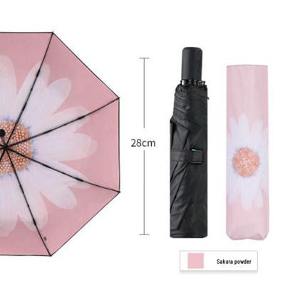Accesorios – Paraguas