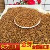 2026 New Tea Spring Golden Bud Jin Junmei Black Tea Full Bud Alpine Jin Junmei Tea Bulk Manufacturer Wholesale