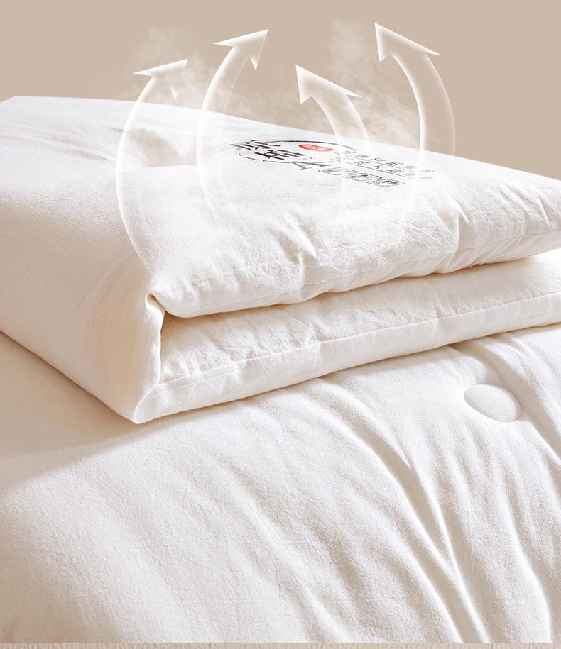 Class A Thickened Soybean Fiber Quilt - Perfect for Spring, Autumn, and Winter. Ideal Gift Choice.