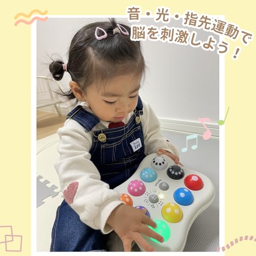 Toy Royal Light and Voice! Touch-based Educational Toy (Color Play / Number Play / Musical Scale Play / Educational Toy) Educational Toy (Study Mode /