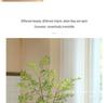 Nandina Artificial Green Plant Branch for Decor - Ideal for Living Rooms, Malls, Landscaping, Floor Ornaments, and Photography Props.