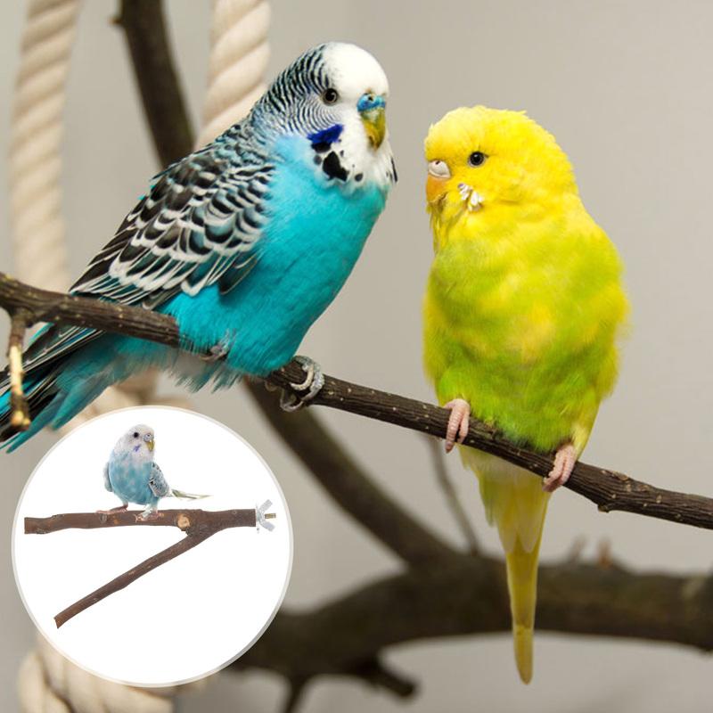 2/10pcs Natural Wood Bird Standing for Parrot Bird Perches Stick Parrot Stand Platform Wooden Exercise Climbing Paw Grinding
