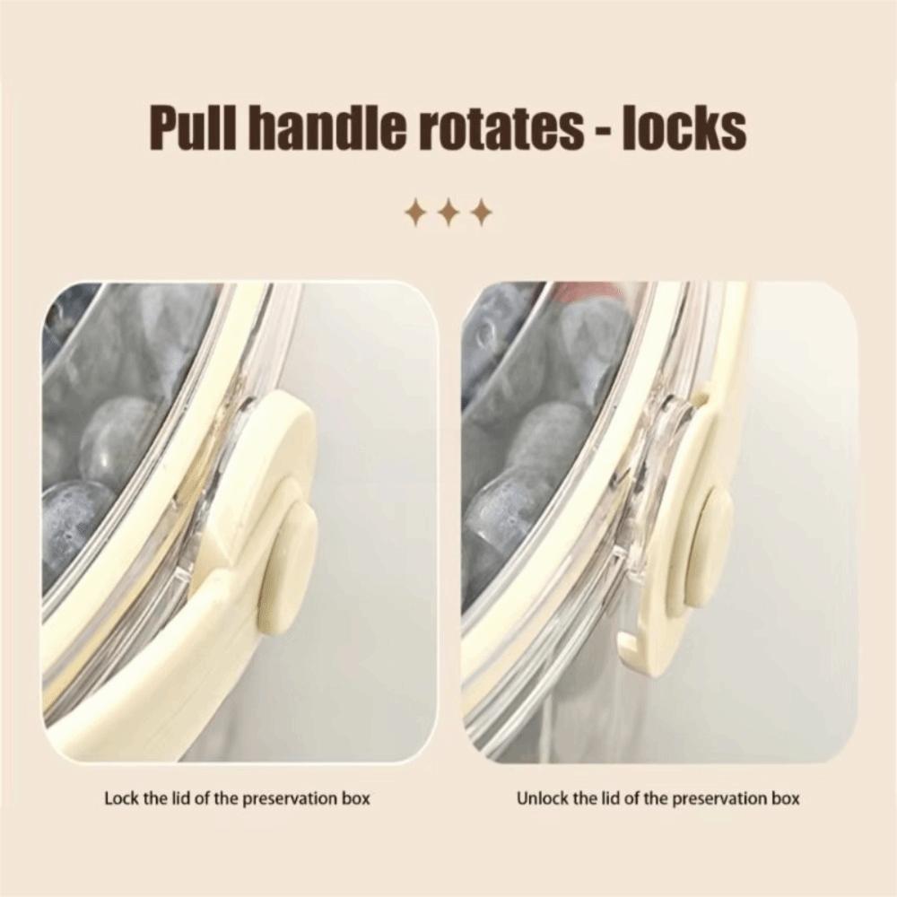 Foldable Handle Fruit Storage Container Divided Living Room Serving Tray  Summer