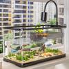 Versatile Desktop Turtle & Fish Aquarium with Basking Platform and Integrated Circulation System