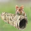 Meerschweinchenkäfig Natürliches Gras Handgewebtes Kauspielzeug Hamsterhaus Kleintier Versteckhaus Spielzeug Haustierbedarf