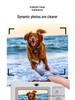 Retro Cute Dual-Camera Student Selfie CCD Digital Camera - Portable Campus Gift