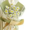 Bouquet Pipe Cleaners for Crafts Pipe Cleaner Flowers Set Pipecleaners Craft Kits Pipe Cleaners Flower Making Kits