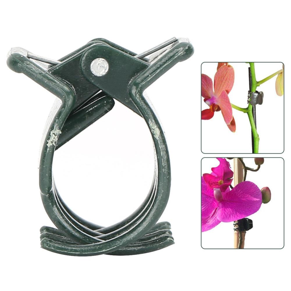 100PCS Plastici Orchid Stem Clips Dark Green Plant Support Clips Durable Plastic Plant Clips