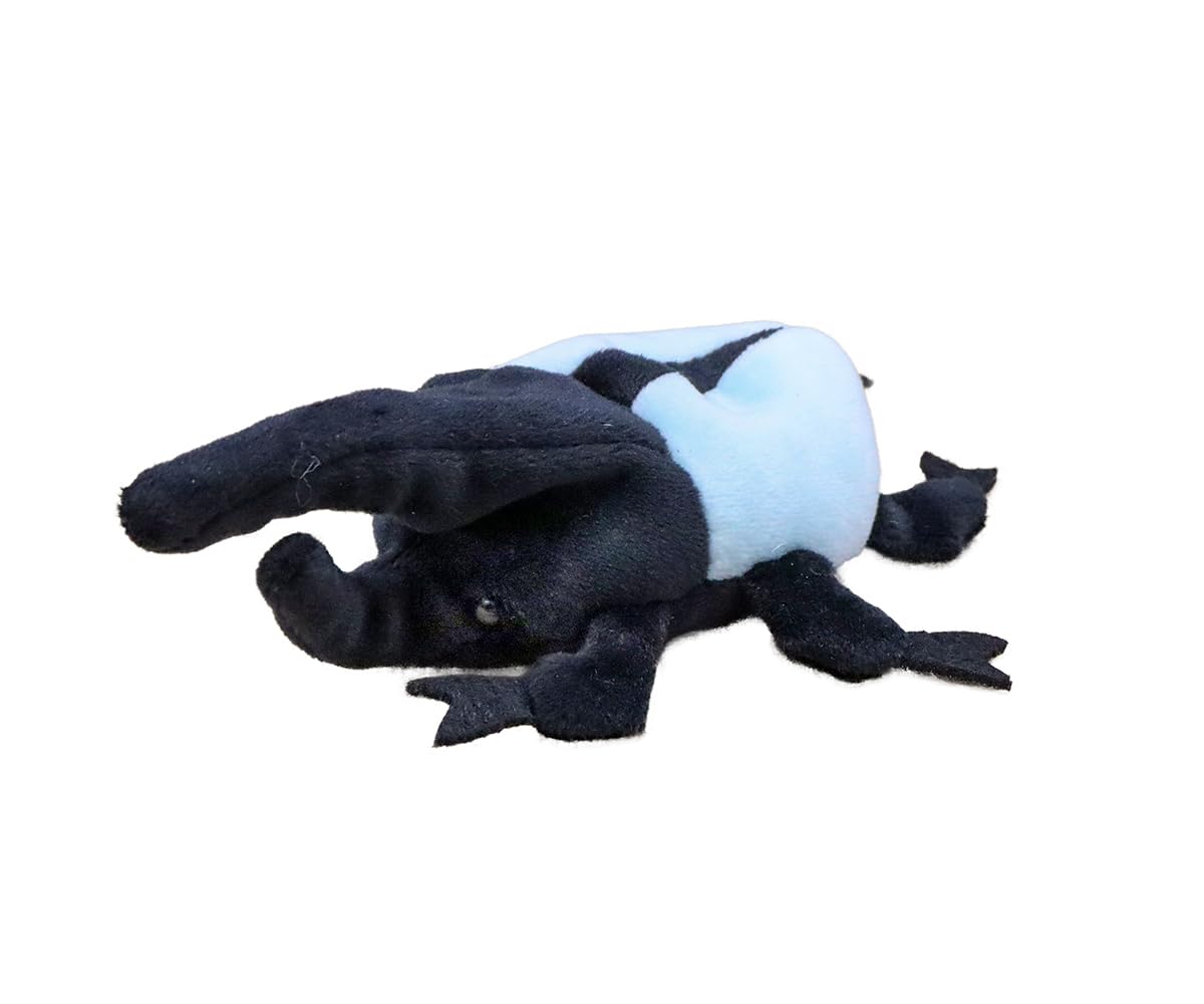 

Takeoff Pokepuni Hercules Ricky