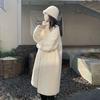 Women Faux Fur Coat Solid Long Fur Coat Fluffy Luxury Loose Casual Stand Up Collar Fur Coat Outerwear Winter