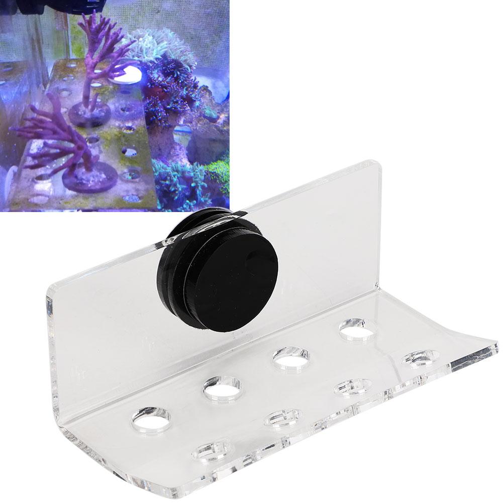 Aquarium Marine Coral Racks Bracket Holder Fish Tank Button Frame Enhanced Suction Cup8 Hole