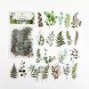 PET plant collection Green Leaf Decorative PVC Stickers Scrapbooking Label Diary Stationery Album Phone Cup Journal Planner