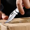 Portable Fruit Knife Stainless Steel Folding Knife Fruit Cutting Knife Pocket Knife for Kitchen Small Knives Utility Knife