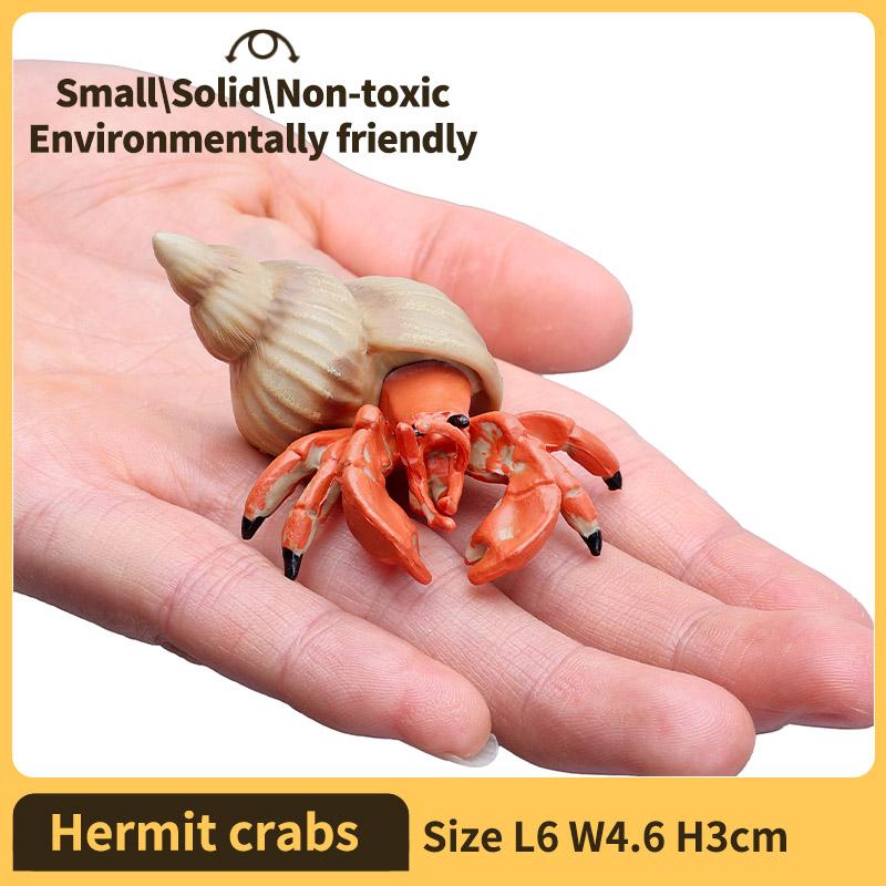 

Hermit Crab Figurine - Sea Life Animals Model Figure - Educational Toy for Boys, Girls, and Kids Ages 18M+
