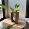 Geometric Glass Vase with Wooden-Stand for Hydroponic Plants and Home Decor