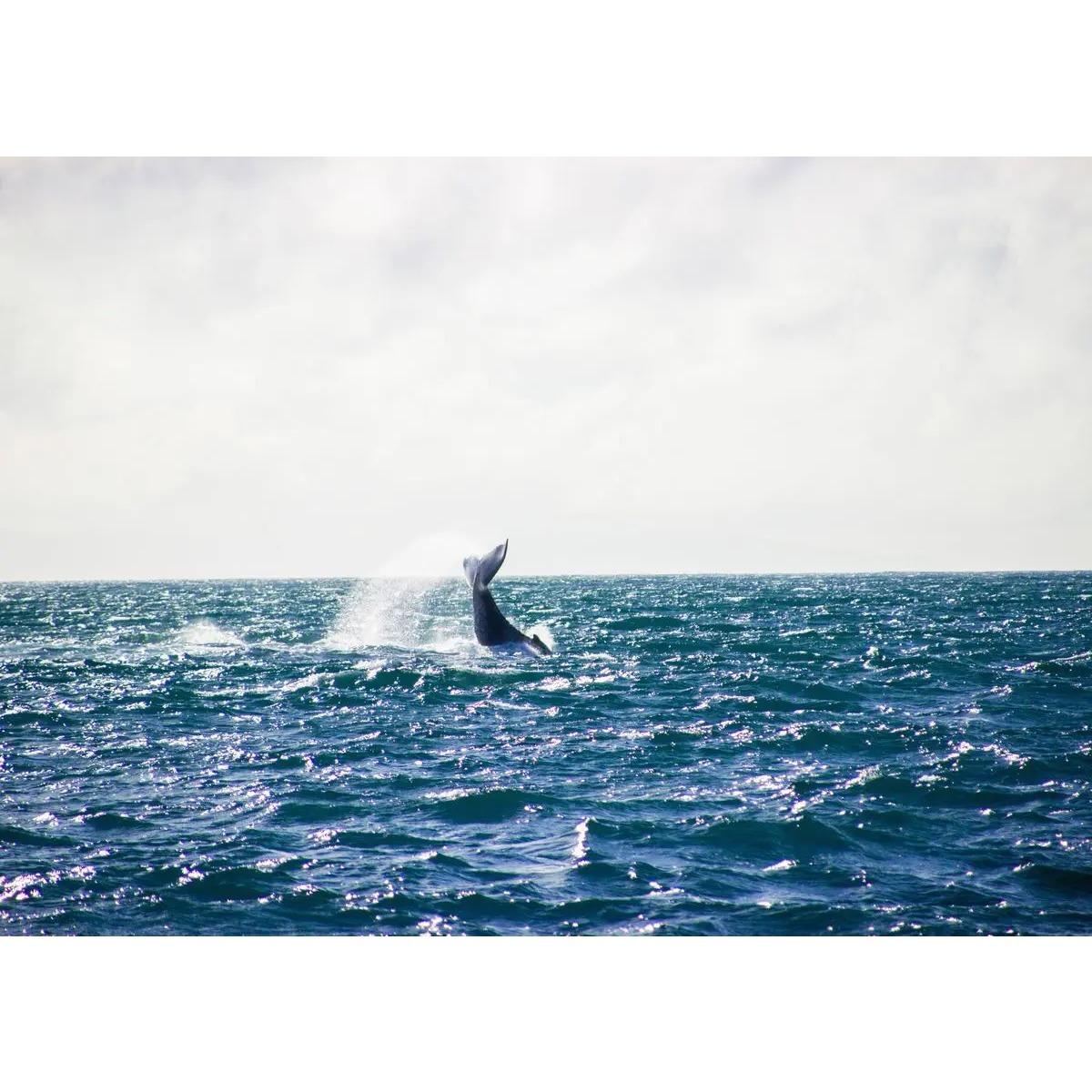 

Сучасні Прості Постери з Морськими Пейзажами Друк Полотно Картина Пляжний Морський Пейзаж Настінне Мистецтво Зображення для Вітальні Спальні Декорація 40x60cm No Frame жовтий