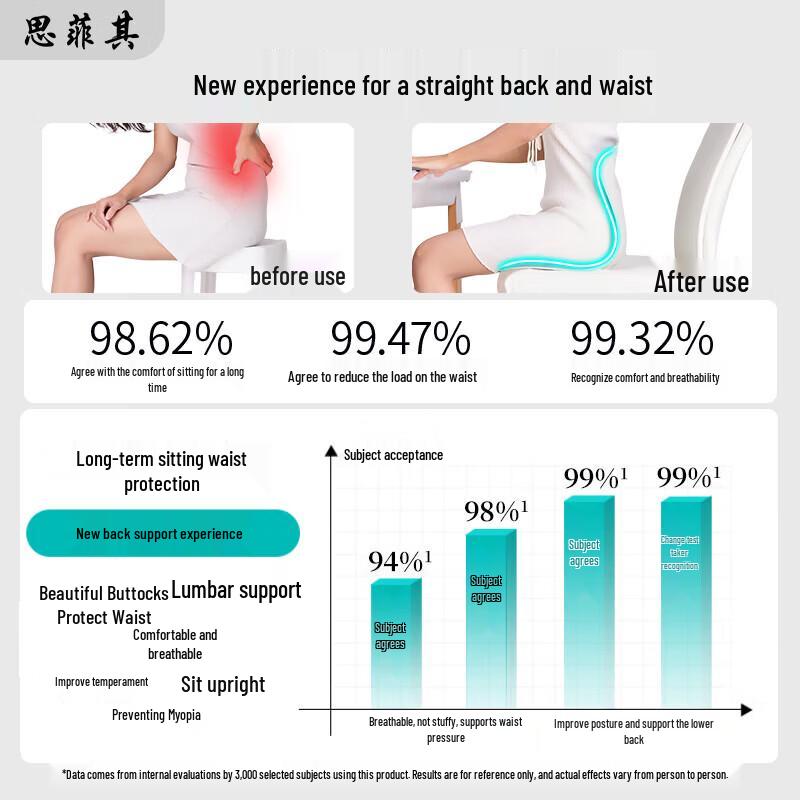 Sifeiqi Ergonomic Lumbar Support Office Seat Cushion