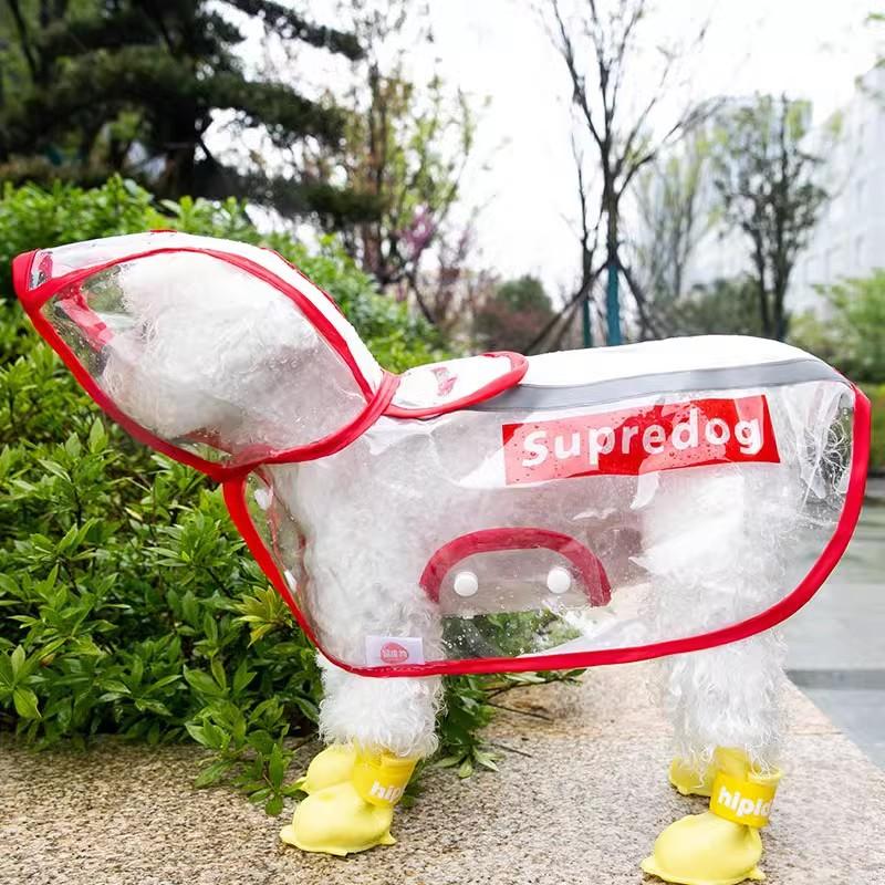 Puppy dog raincoat spring teddy bear special small dog rainy day out clothes poncho waterproof pet clothing