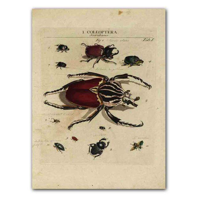 Nordic RETRO Art Canvas Painting Butterfly Insect Evolution Poster Living Room Corridor Wall Painting Home Decoration Mural No Frame