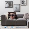1PC New Album Buenas Noches Quevedo Pillow Case Sofa Decorative Home Double-sided Printing Short Plush Cute Cushion Cover