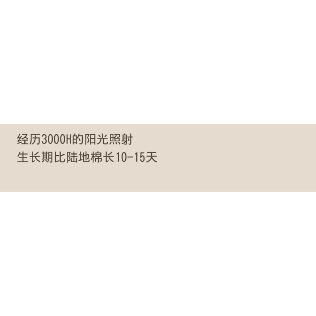 Thick socks for women in winter, fleece-lined cotton terry boat socks, thickened warm towel socks, Japanese-style short socks for autumn and winter