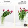 Spiral Flower Arrangement Tool - Versatile Bouquet Stem Holder for Lightweight Plastic Planting Aid for Vases, Indoor Plant Holder