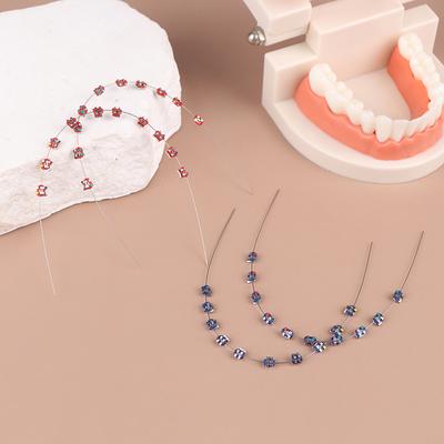 1 Pack Temporary Tooth Decoration With Metal Wires Multicolour Metal Bracket Orthodontic Ligature Ties Dentist Material